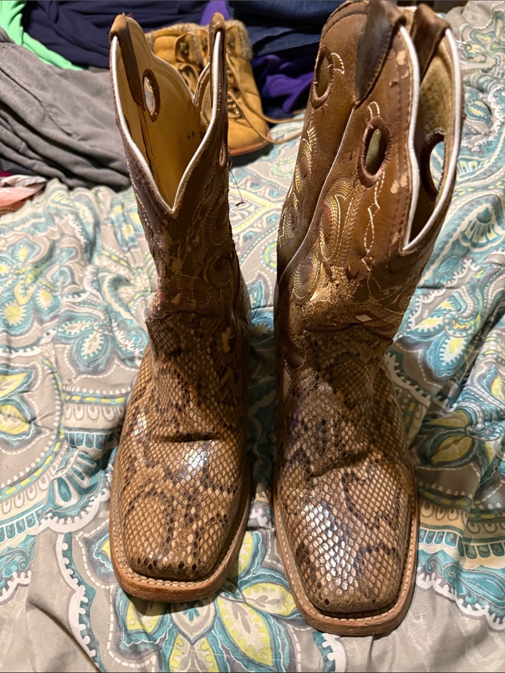Hollister Brown Snakeskin-Pattern Cowboy Boots